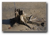 [Click to enlarge]